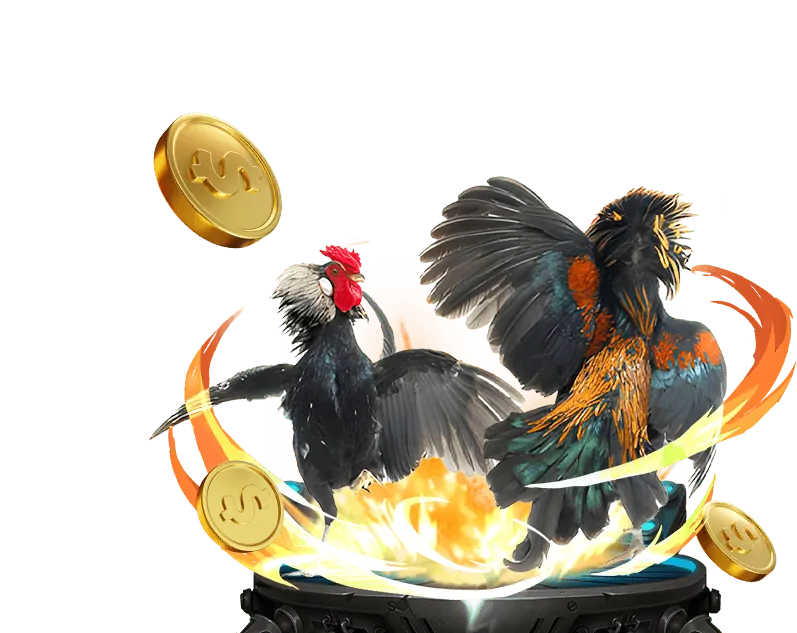 Hướng dẫn tham gia chương trình VIP MB66