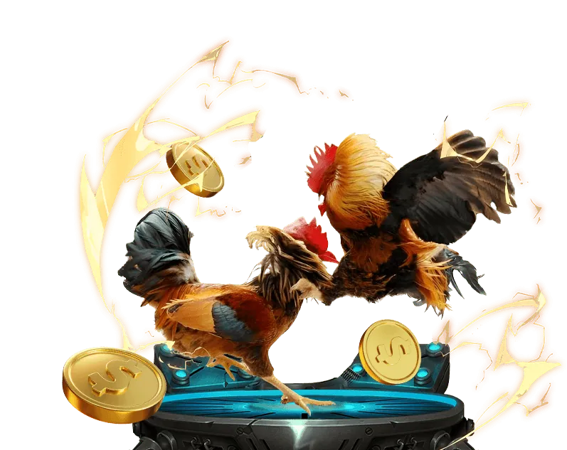 Giới thiệu về MB66